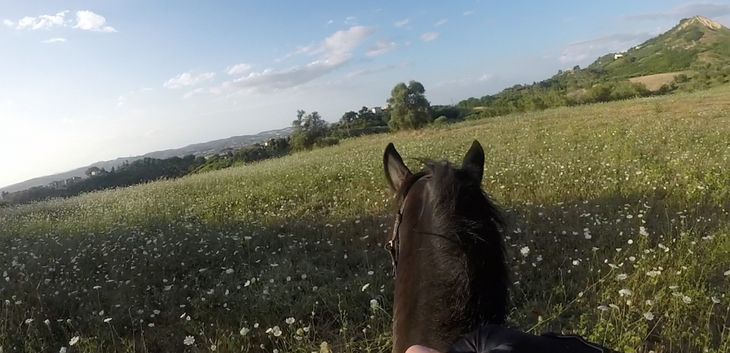 AD UN PASSO DALLA CITTA' ECCO LE NOSTRE COLLINE PE...