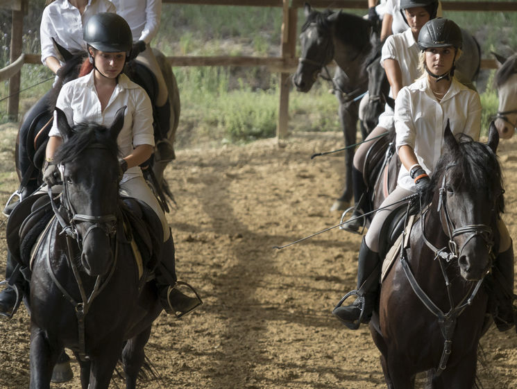 Imparare per divertirsi in sicurezza a Cavallo!